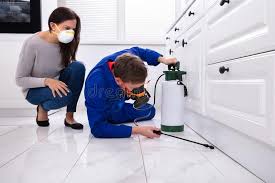 Emergency Pest Control in North Royalton, OH